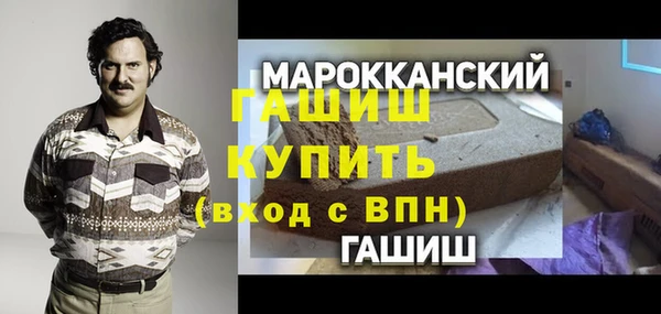 дживик Краснослободск