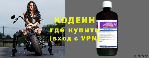 дживик Краснослободск