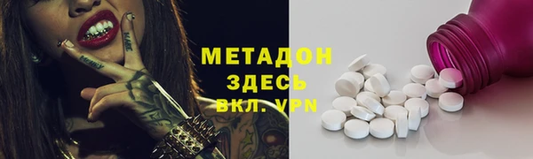 сатива Кулебаки