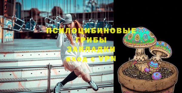 гашик Кукмор
