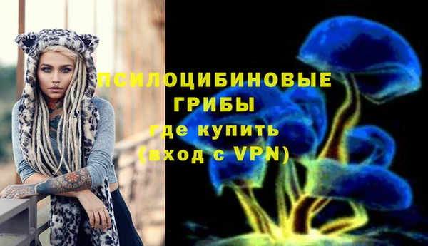 сатива Кулебаки