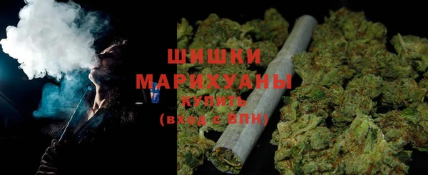 сатива Кулебаки