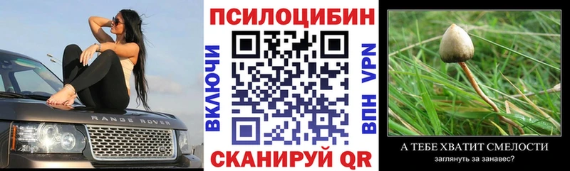 Псилоцибиновые грибы Psilocybine cubensis  сайты даркнета клад  Тимашёвск 